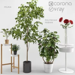 Ikea plants set 3D model