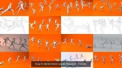 Kung Fu Martial Artists Lowpoly Megapack 3D Model Collection