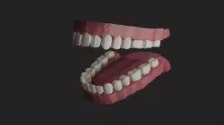 Low poly teeth Low-poly  3D model