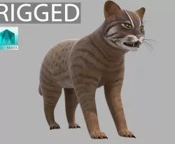 Lynx Animal 3D model