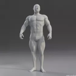 Male Anatomy Study 3D model