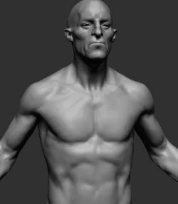 Male Anatomy v7 3D model