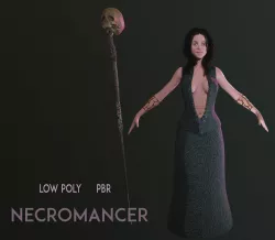 Necromancer Character Low-poly  3D model