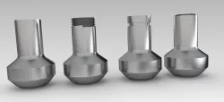 NIPOLET 3D model
