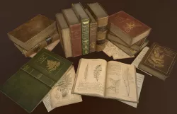 Old Books set - PBR Game Ready Low-poly  3D model