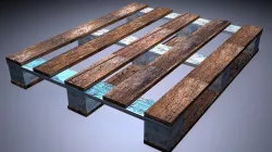 padon 3D model