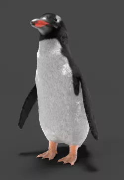 Penguin 3D model