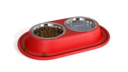 Pet bowl Low-poly  3D model