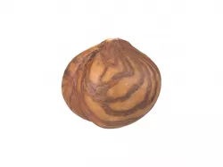 Photorealistic Hazelnut Kernel 3D Scan 2 3D model