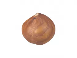Photorealistic Hazelnut Kernel 3D Scan 3D model