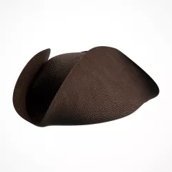 Pirate Hat 3D model