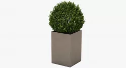 Planter 3D model