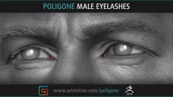 Poligone Male Eyelashes 3D model