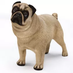 Pug 2 3D model