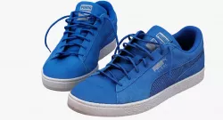 Puma Blue 3D model