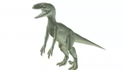 Raptor 3D model