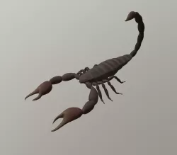 Scorpion 3D model