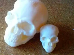 Skull