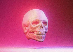 skull 3D model