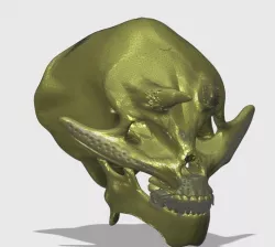 skull demon 3D model