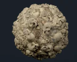 Skulls Bones Seamless PBR Texture 13 Texture