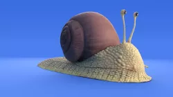 Snail - Cartoon Style 3D model