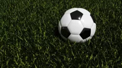 Soccer Ball 3D model