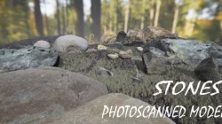 Stones Photoscanned 3d models Low-poly  3D model