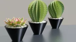 Succulent Potplants 3D model