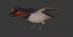 Swallow Low-poly  3D model