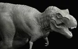 T Rex 3D model