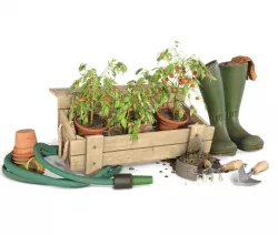 Tomato Garden 3D model