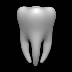 Tooth 3D model