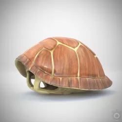 Turtle brown shell Mock-up 3d Model 3D model
