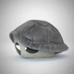 Turtle dirt gray shell Mock-up 3d Model 3D model