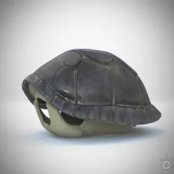 Turtle gray shell Mock-up 3d Model 3D model