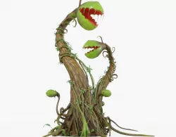 Venus Flytrap  Low-poly  3D model