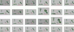 100 Earrings Drops Jumkis 3dm stl details bulk  3D print model