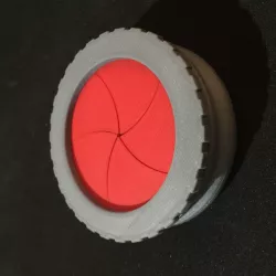 5 Petal Iris Gift Box 3D print model