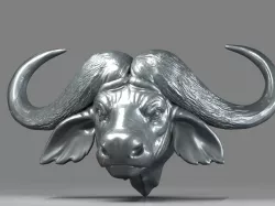 African Buffalo Head01 3D print model