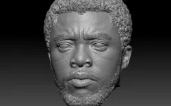 Black Panther T Challa Chadwick Boseman HEAD 3D print model