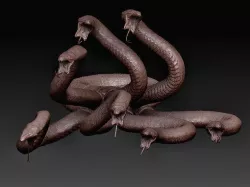 Hidra snake 3D print model