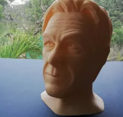 Imran Khan Cricketer Head  3D print model