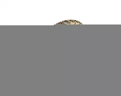 Jewelry Ring 3D print model