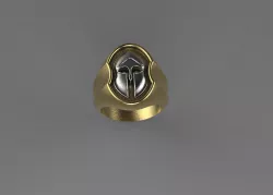 Man Spartan ring shield  3D print model