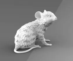 mouse 3D print model