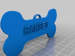 ramses tag