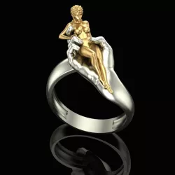 Ring Gift 3D print model
