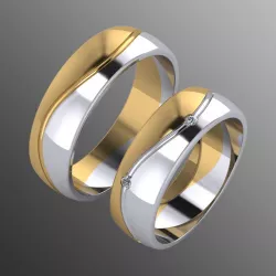 Ring pk 25 3D print model
