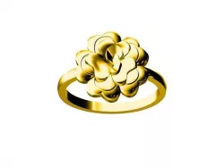 rose ring 3D print model